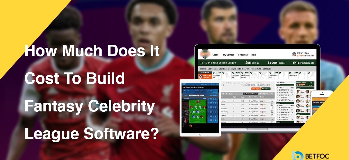 How Much Does It Cost To Build Fantasy Celebrity League Software?