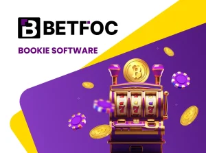 How Bitcoin Casino Software Has Changed the iGaming Industry?